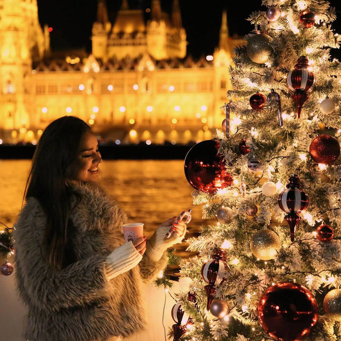 christmas market cruise